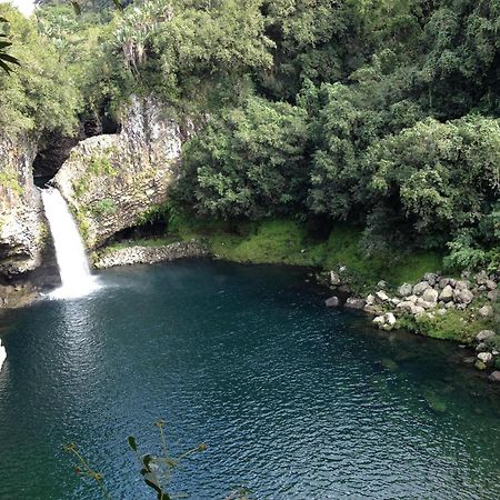 Le Beau Vallon 1- Jacuzzi Privatif Et Piscine Chauffee Partagee Saint-Benoît Zewnętrze zdjęcie