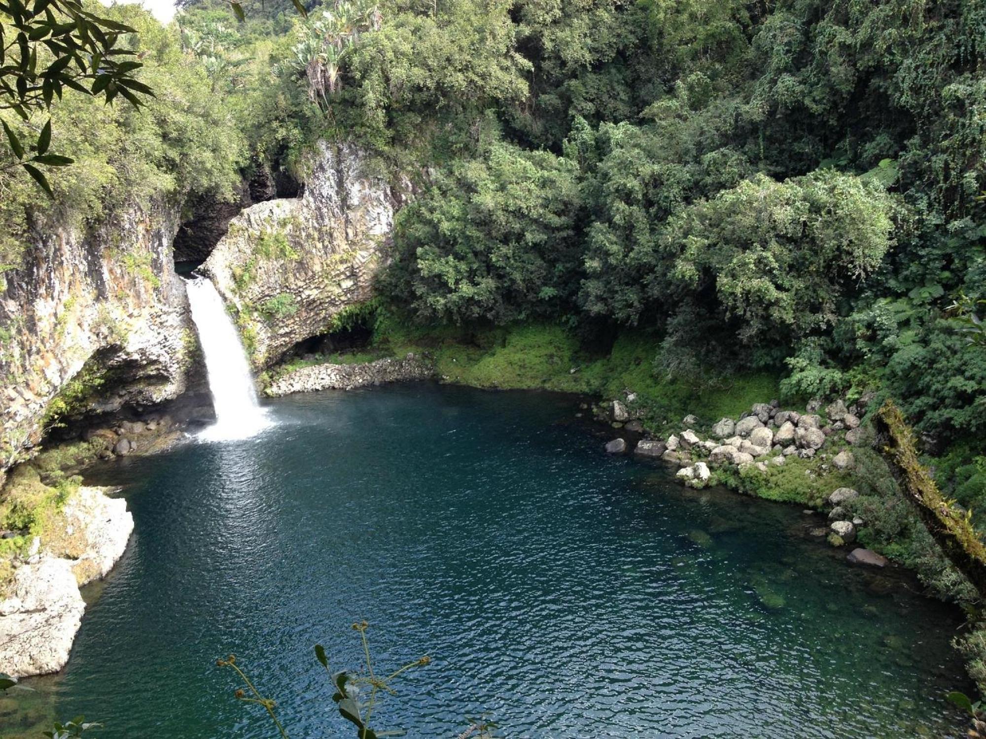 Le Beau Vallon 1- Jacuzzi Privatif Et Piscine Chauffee Partagee Saint-Benoît Zewnętrze zdjęcie